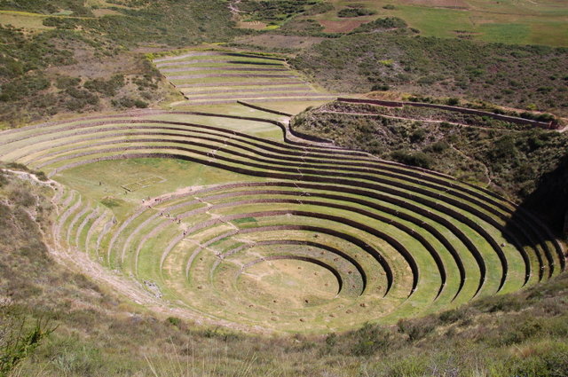 Moray.