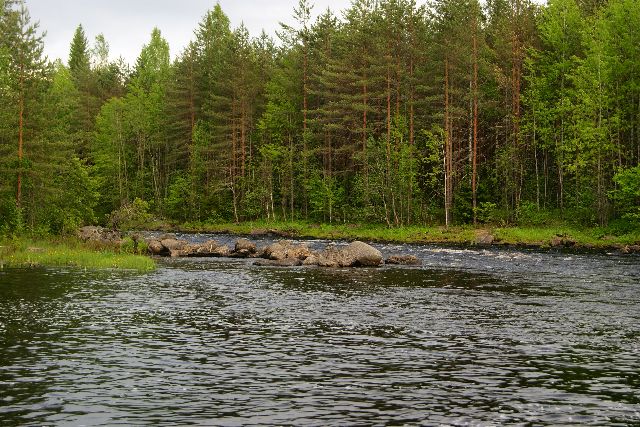 Река дубль 2
