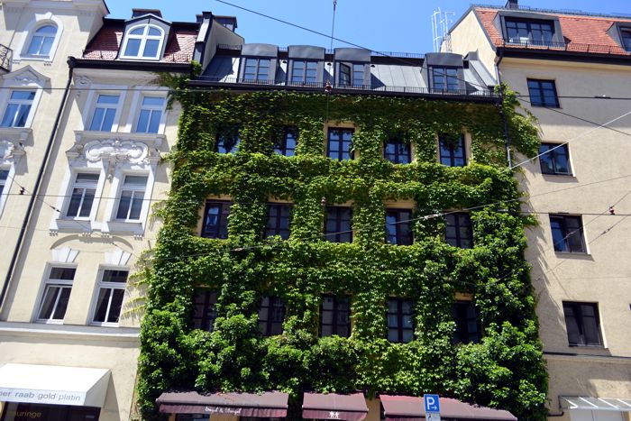 пивная Hofbraukeller
