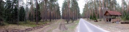 Панорама Пущинских дорог.
