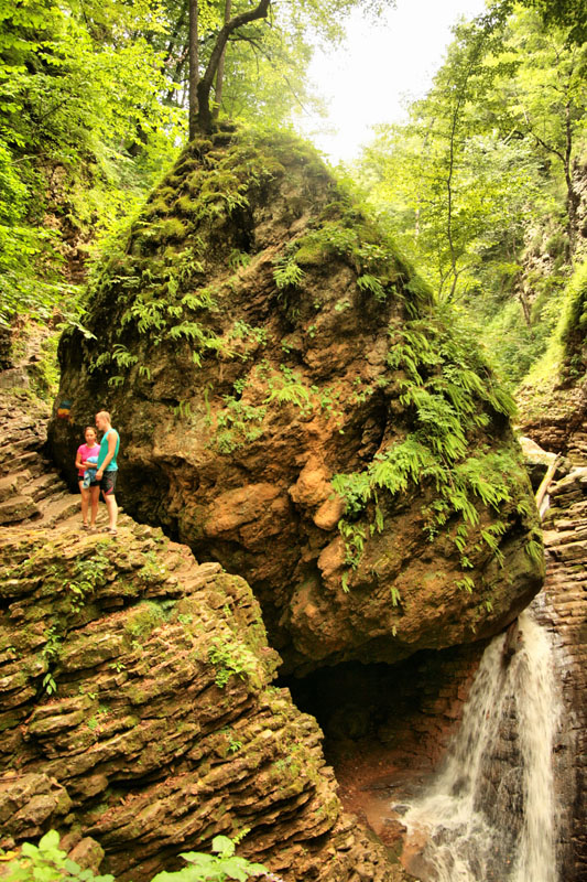 сердце великана