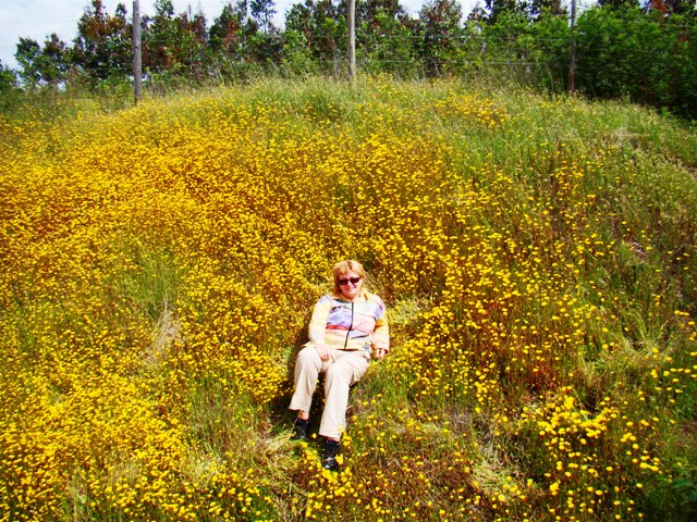 Светлана Глазкова